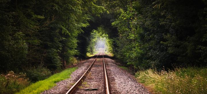 Photo of train tracks heading into the distance with trees forming an arch from the middle distance.