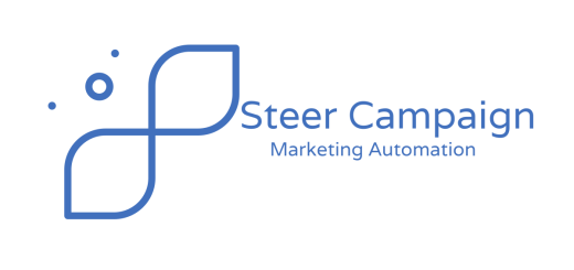 Steer campaign logo
