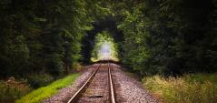 Photo of train tracks heading into the distance with trees forming an arch from the middle distance.